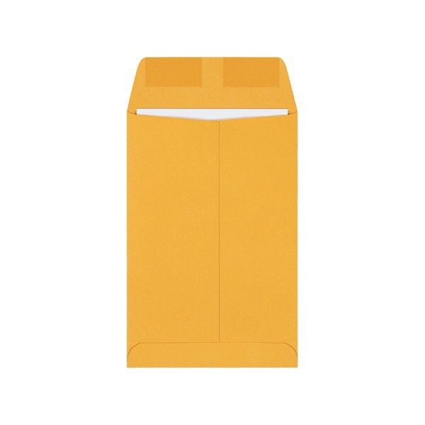 Bsc Preferred 6 x 9'' Kraft Gummed Envelopes, 2500PK BUY00027038 - main